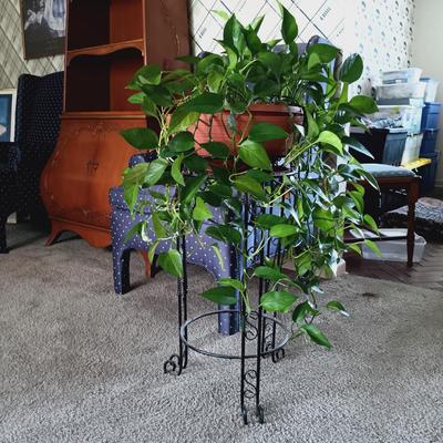 LOT 34L: Large Pothos Plant with Metal Plant Stand