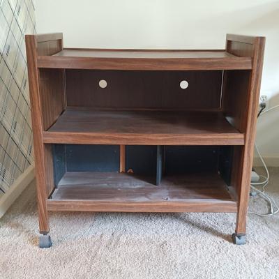 LOT 97L: Large House Plant with Vintage Bar Cart