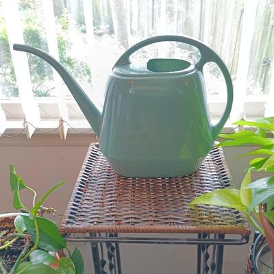 LOT 202K: Pothos Plants with Metal and Wicker Plant Stands & Watering Can