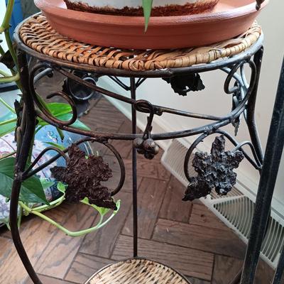 LOT 202K: Pothos Plants with Metal and Wicker Plant Stands & Watering Can