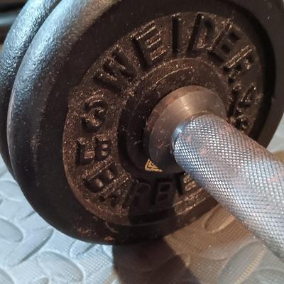 LOT 250B: Set of Weights