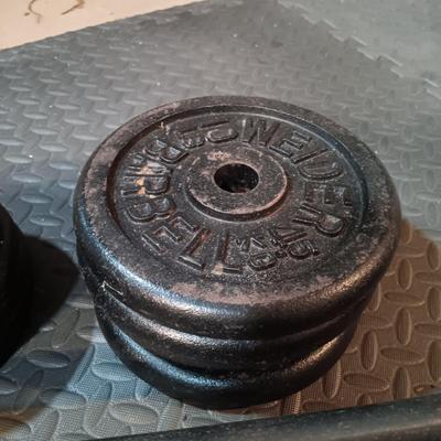 LOT 250B: Set of Weights