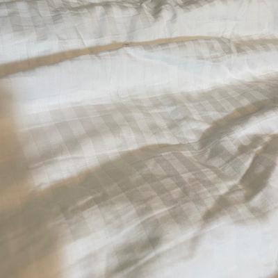 Perry Ellis Full-Sized Comforter and More Full & Throw Blankets (PB-SS)