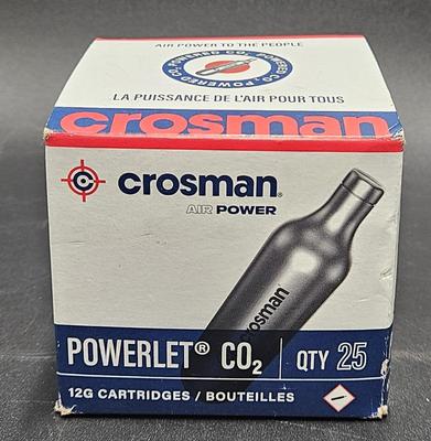Dan Wesson 2.5" 4.5mm Co2 Steel BB Revolver Bundle