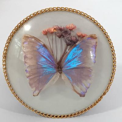 LOT 94: Satsuma-Style Handpainted Vase, Hand Cut Wood Butterfly Art, Morpho Butterfly Taxidermy Trinket Box & More