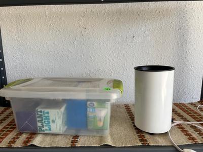 Sale Photo Thumbnail #174: Container of lightbulbs and small desk lamp