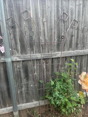 Sale Photo Thumbnail #309: Wrought iron trellis 2, tall and heavy