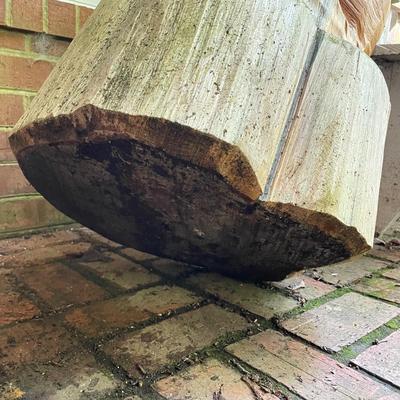 Chainsaw Carved Wooden Bear Statue (FY-MG)