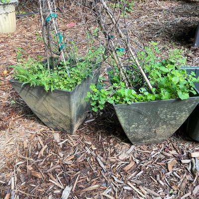 15 Plastic Plant Pots (BY-RG)