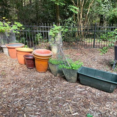 15 Plastic Plant Pots (BY-RG)