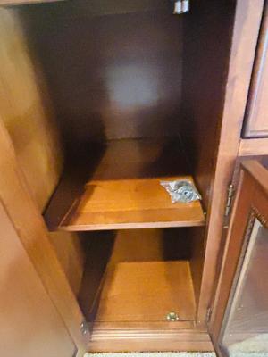 GORGEOUS MEDIA/ENTERTAINMENT CABINET
