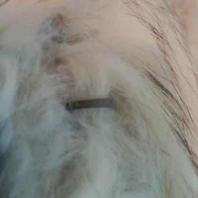 Sale Photo Thumbnail #290