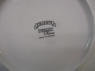 33 Pieces Of Vintage Syracuse Celeste Platinum Trim Blue Leaves