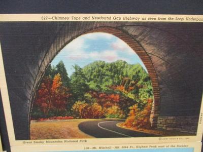 Genuine Curteich-Chicago Vintage Postcard With Captivating Views (Not Postmarked)