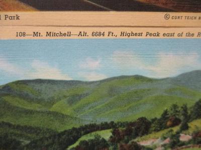 Genuine Curteich-Chicago Vintage Postcard With Captivating Views (Not Postmarked)