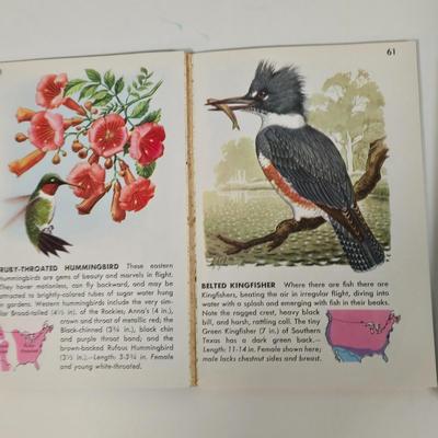 LOT 99L: Boy Scout Patches, Bird Books, Binoculars, Wooden Fish Shaped Rod Holder, Gone Fishing Sign, Sportsman Thermometer, Flyboys by...