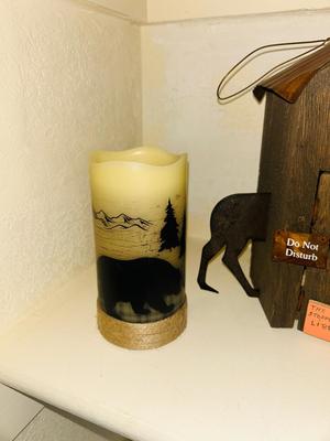 UNIQUE BIRDHOUSE AND FLAMELESS CANDLES