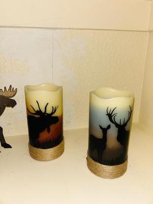 UNIQUE BIRDHOUSE AND FLAMELESS CANDLES