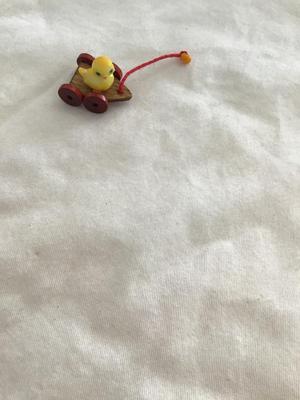 Cute little cart duck