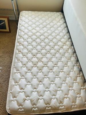 DAYBED WITH TRUNDLE BED AND BEDDING
