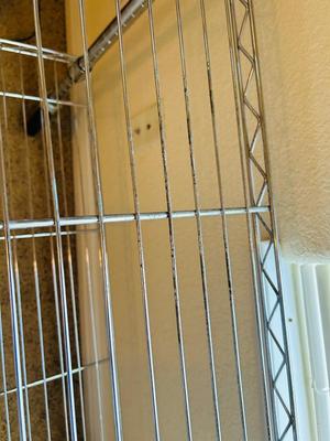 HEAVY WIRE SHELF ON CASTERS