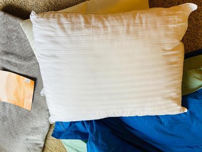 FULL SIZED DOWN FILLED COMFORTER 40 X 58 CHENILLE THROW & PILLOWS.