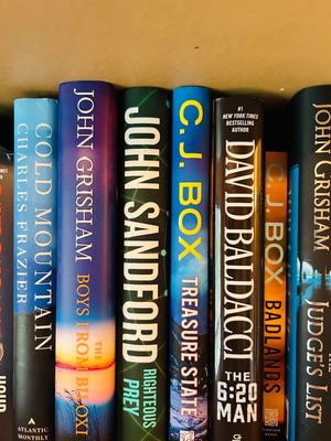 SEVERAL NICE HARDBACK NOVELS AND A DICTIONARY