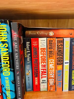 MORE GREAT NOVELS