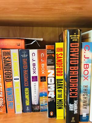 MORE GREAT NOVELS