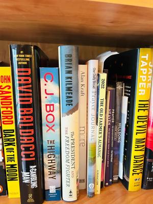 MORE GREAT NOVELS