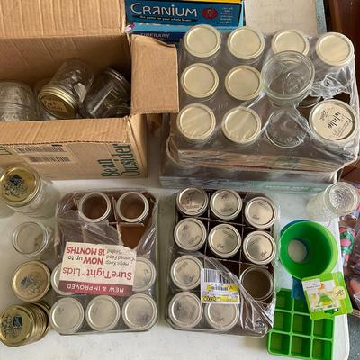 G408 Canning Lot
