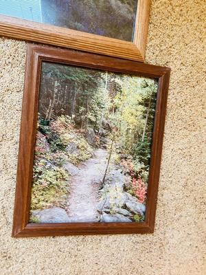 FRAMED PHOTOGRAPHS OF LANDSCAPES