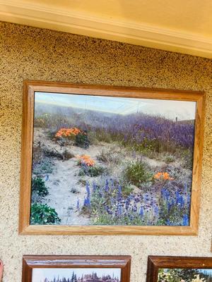 FRAMED PHOTOGRAPHS OF LANDSCAPES