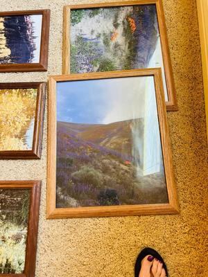 FRAMED PHOTOGRAPHS OF LANDSCAPES