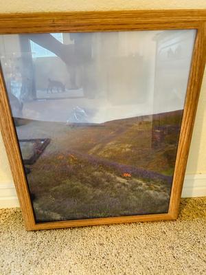 FRAMED PHOTOGRAPHS OF LANDSCAPES