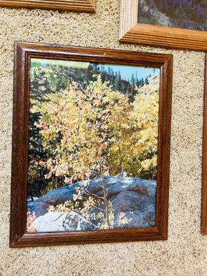 FRAMED PHOTOGRAPHS OF LANDSCAPES