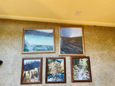 FRAMED PHOTOGRAPHS OF LANDSCAPES