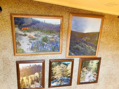 FRAMED PHOTOGRAPHS OF LANDSCAPES
