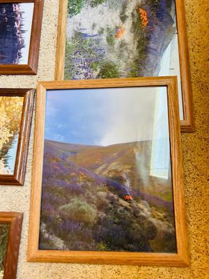 FRAMED PHOTOGRAPHS OF LANDSCAPES