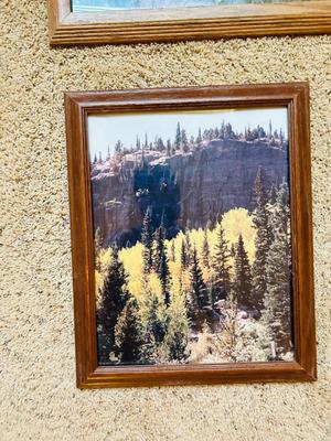FRAMED PHOTOGRAPHS OF LANDSCAPES
