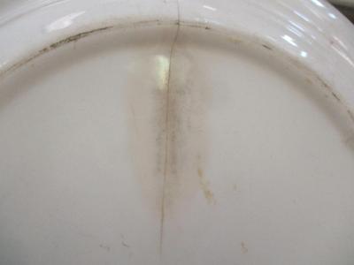 Antique Plates Nautilus Iroquois Homer Laughlin Virginia Rose World Wide Art Studios #15