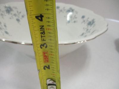 Johann Haviland Blue Garland Oval Patter & Vegetable Bowl Made In Germany