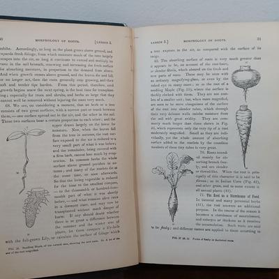 LOT 2: Allen Nursery Co. Cabinet Fruit and Flower Plates Sample Book by Stecher Lithograph Co. w/ Bergen and Davis' 1906 Principles...