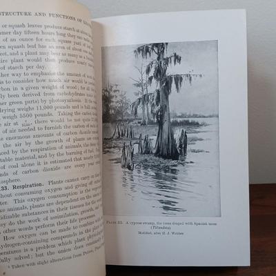 Sale Photo Thumbnail #995