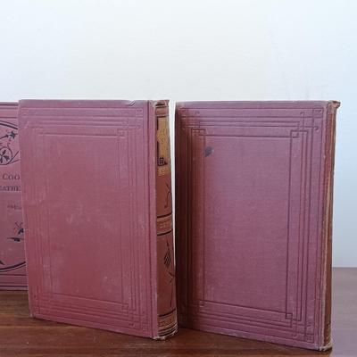 LOT 5: Hurd and Houghton Publishers 1870s Editions of The Leather Stocking Tales by J. Fenimore Cooper Set of (5)