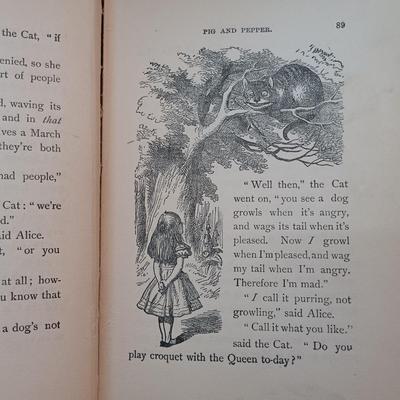 LOT 6: Library of Famous Books by Famous Authors Edition of Alice's Adventures in Wonderland w/ a Collection 1920s Classic Tales