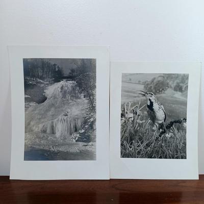 Sale Photo Thumbnail #256