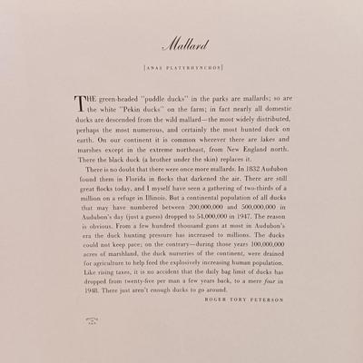 LOT 209: Audobon Birds of America 50 Lithograph Selections & A Treasury of American Prints 100 Etchings and Lithographs 1939