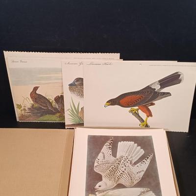 LOT 209: Audobon Birds of America 50 Lithograph Selections & A Treasury of American Prints 100 Etchings and Lithographs 1939