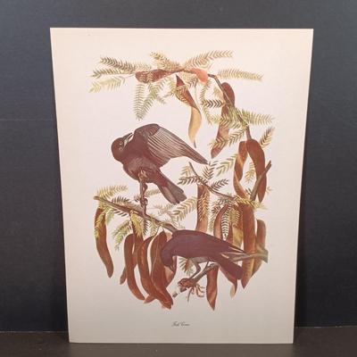 LOT 209: Audobon Birds of America 50 Lithograph Selections & A Treasury of American Prints 100 Etchings and Lithographs 1939